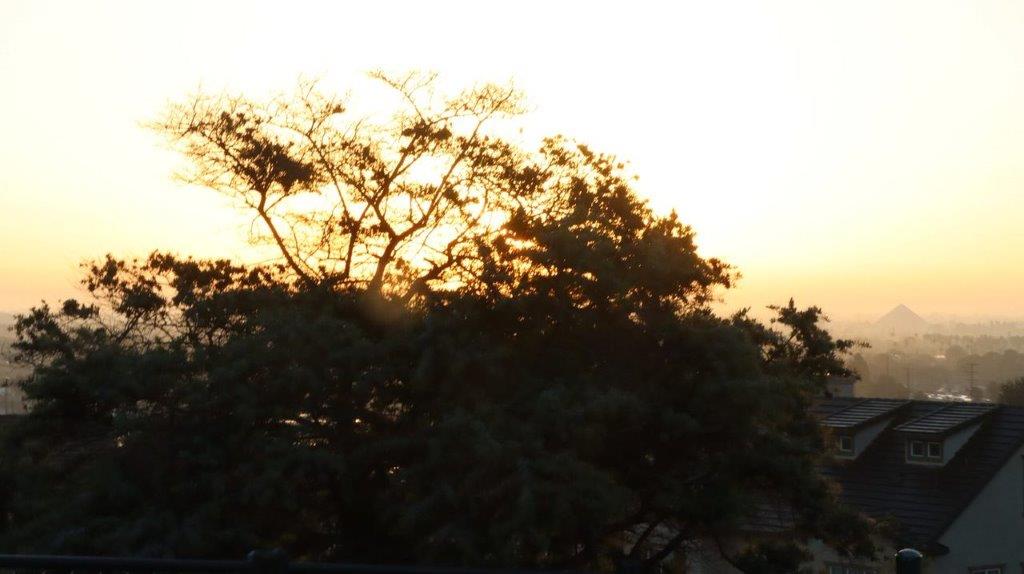 A tree with the sun setting behind it

Description automatically generated