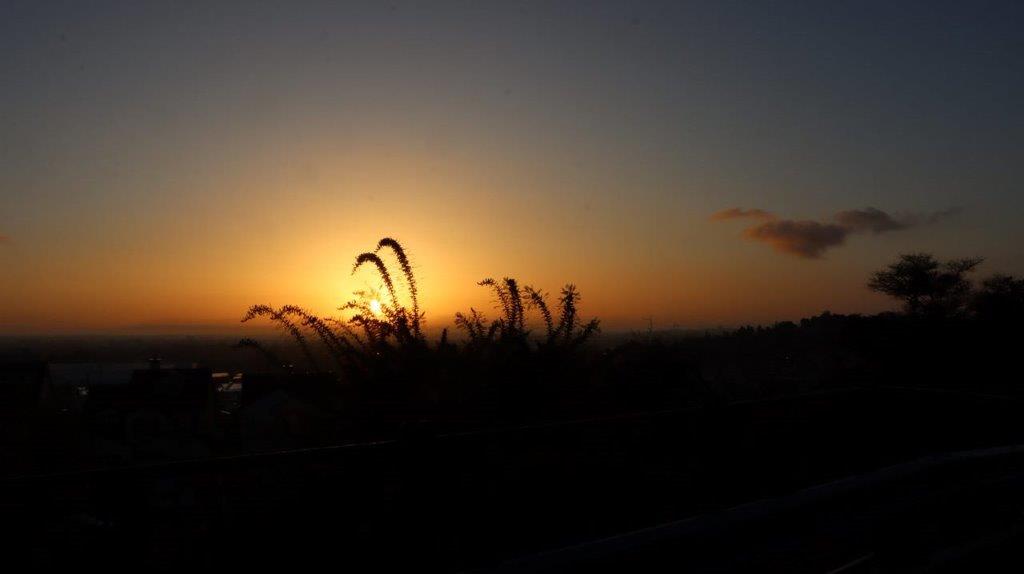 A sunset over a field

Description automatically generated