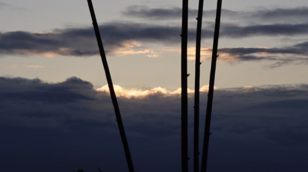A group of sticks in the sky

AI-generated content may be incorrect.