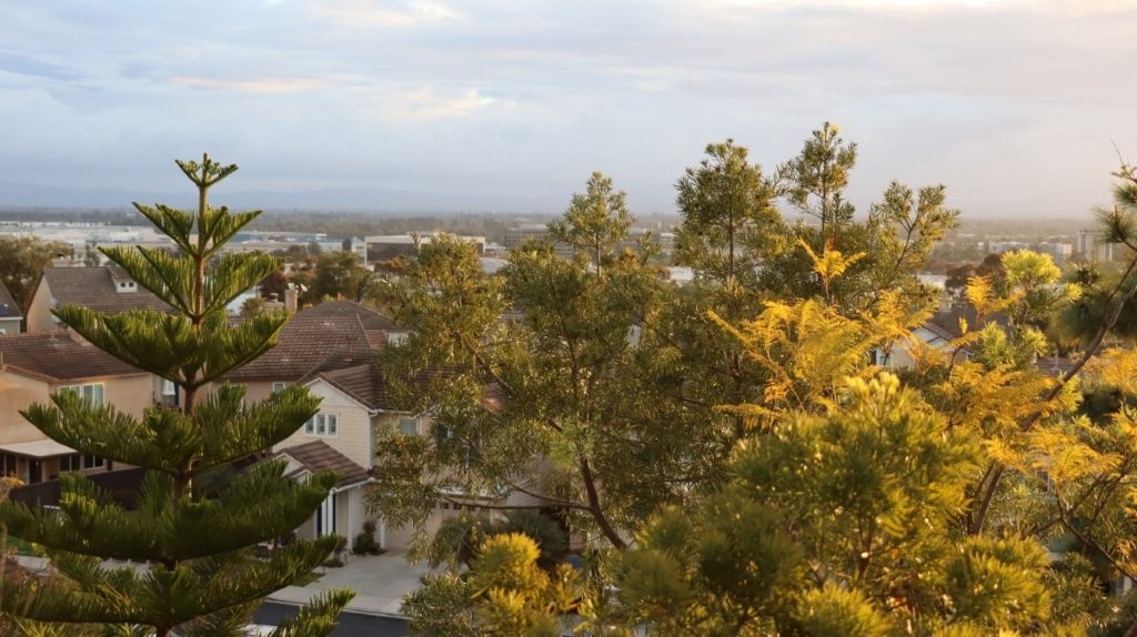 A view of a neighborhood from above

AI-generated content may be incorrect.