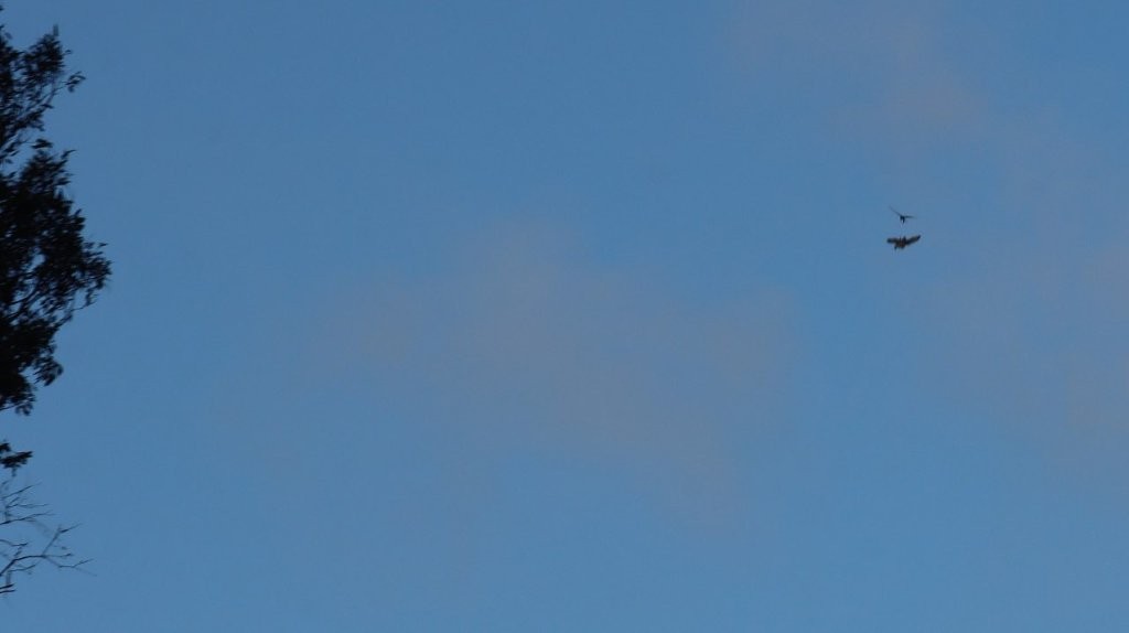 A blue sky with clouds

AI-generated content may be incorrect.