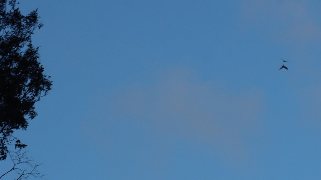 A blue sky with clouds

AI-generated content may be incorrect.