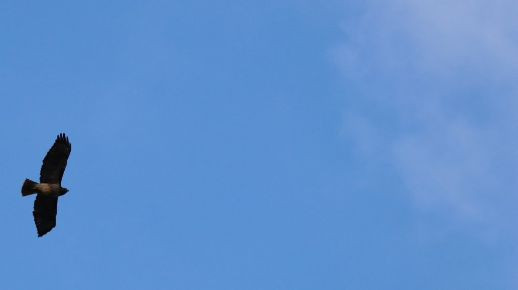 A blue sky with clouds

AI-generated content may be incorrect.