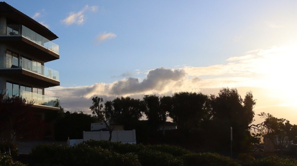 A group of trees and a blue sky

AI-generated content may be incorrect.