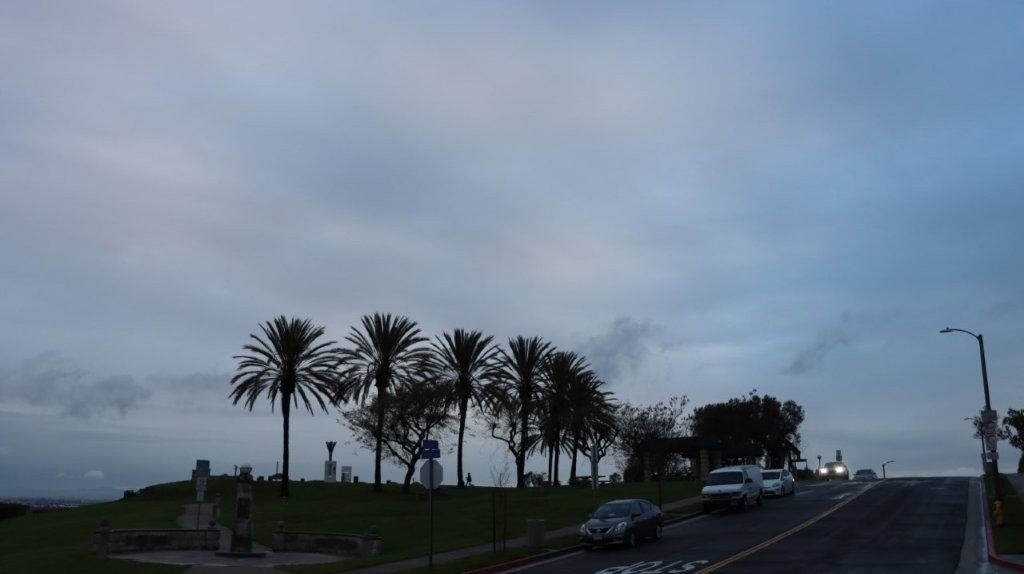 A road with palm trees and cars

AI-generated content may be incorrect.