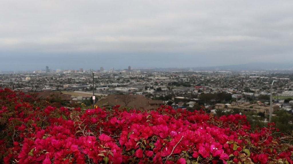 A view of a city from a hill

AI-generated content may be incorrect.