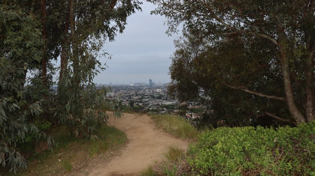 A dirt path through trees

AI-generated content may be incorrect.