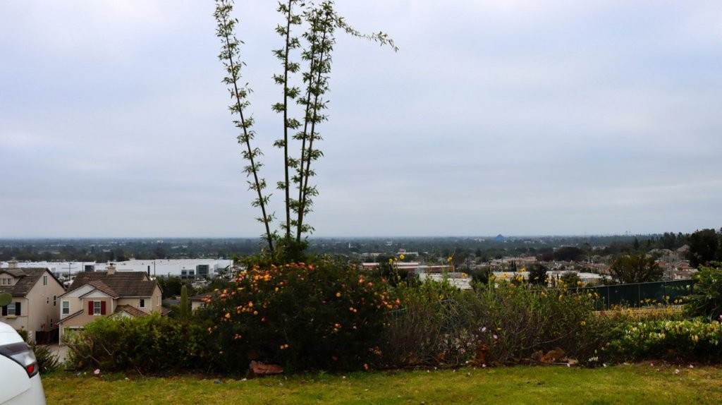 A landscape with a couple of trees

AI-generated content may be incorrect.
