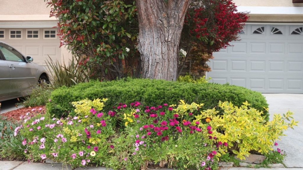 A tree trunk with flowers around it

AI-generated content may be incorrect.