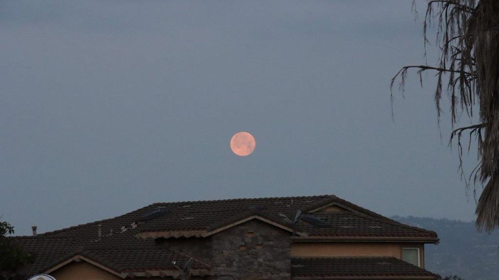 A moon in the sky

Description automatically generated