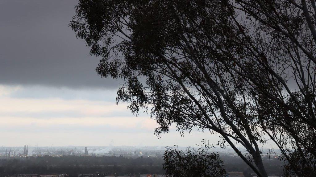 A tree with a cloudy sky

Description automatically generated