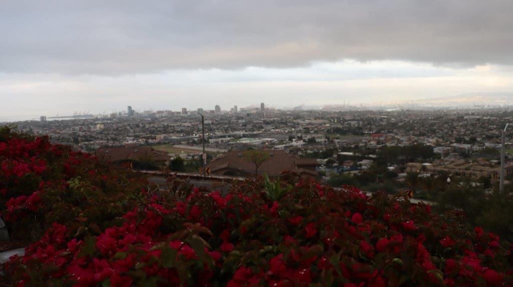 A view of a city from a hill

Description automatically generated