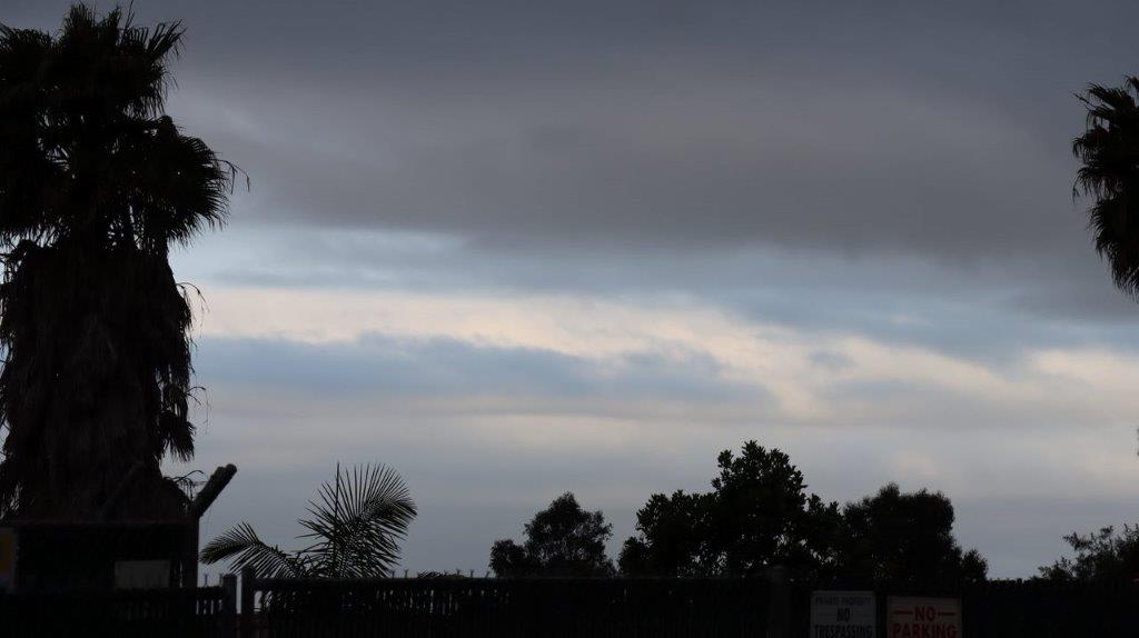 A light pole with trees in the background

Description automatically generated