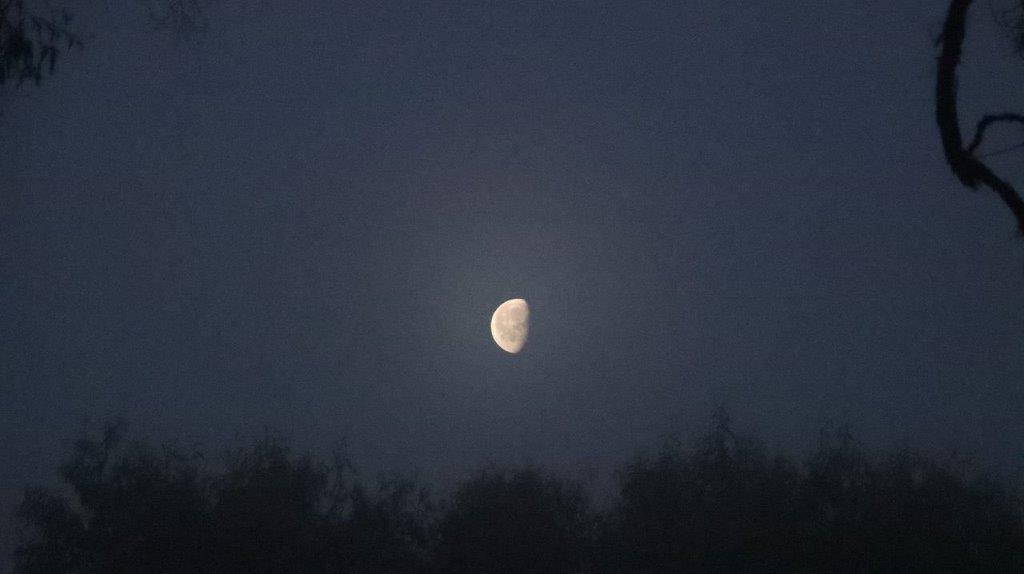 A moon in the sky

Description automatically generated