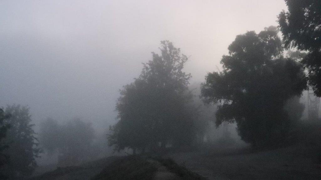 A foggy landscape with trees

Description automatically generated