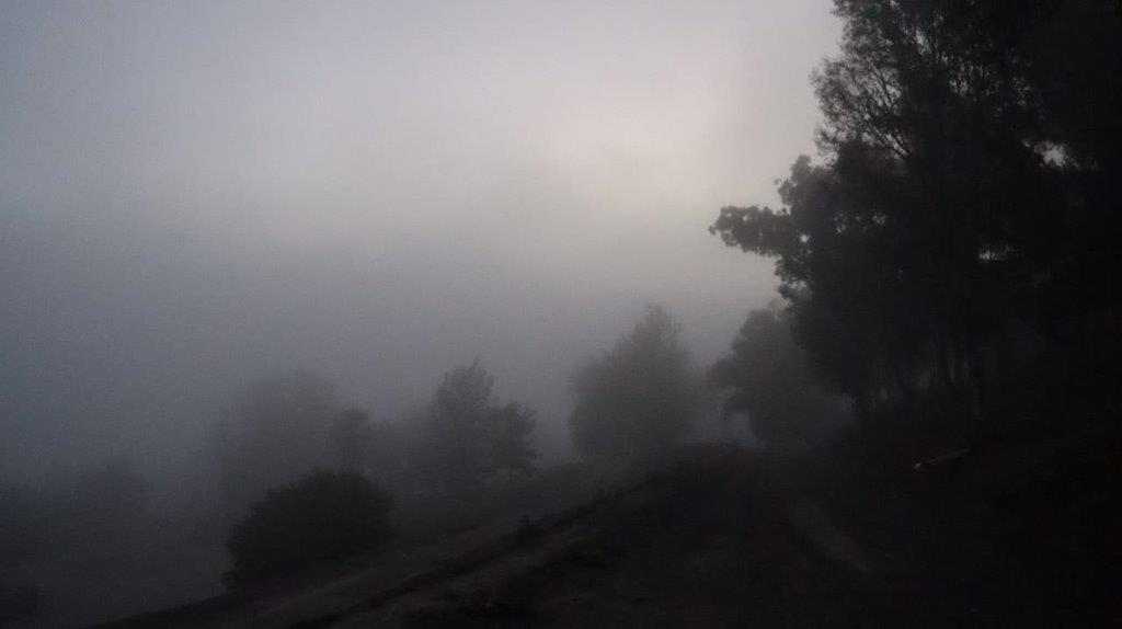 A foggy landscape with trees

Description automatically generated