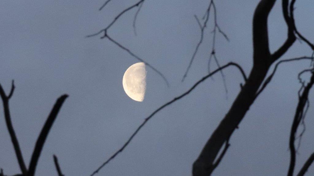 A moon in the sky

Description automatically generated