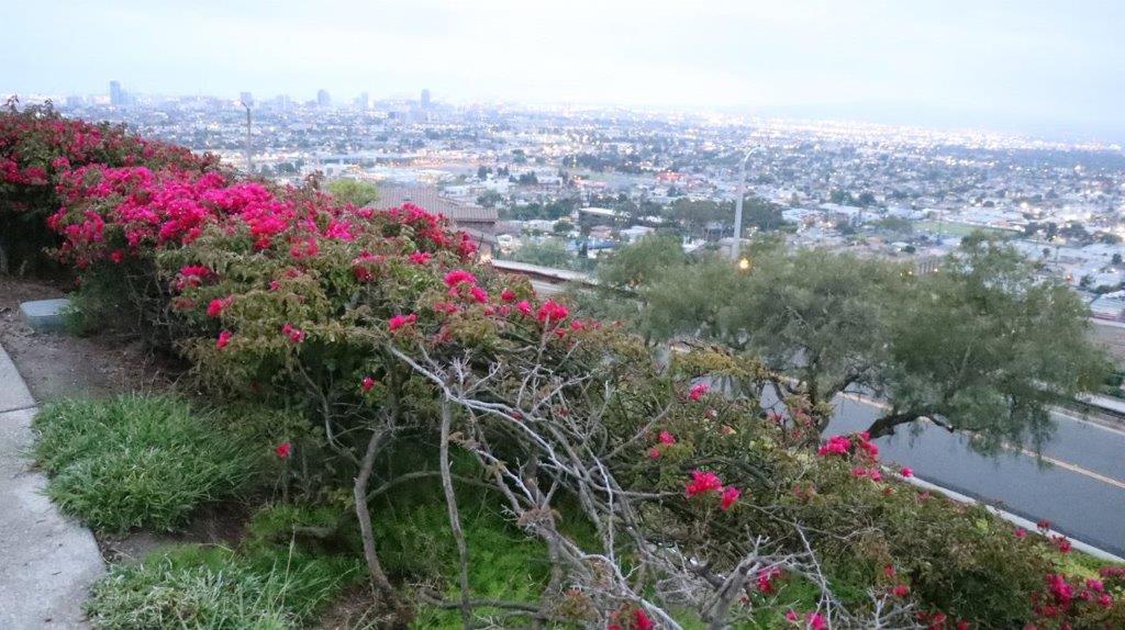 A view of a city from a hill

Description automatically generated