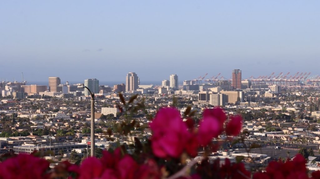 A close-up of a city

AI-generated content may be incorrect.