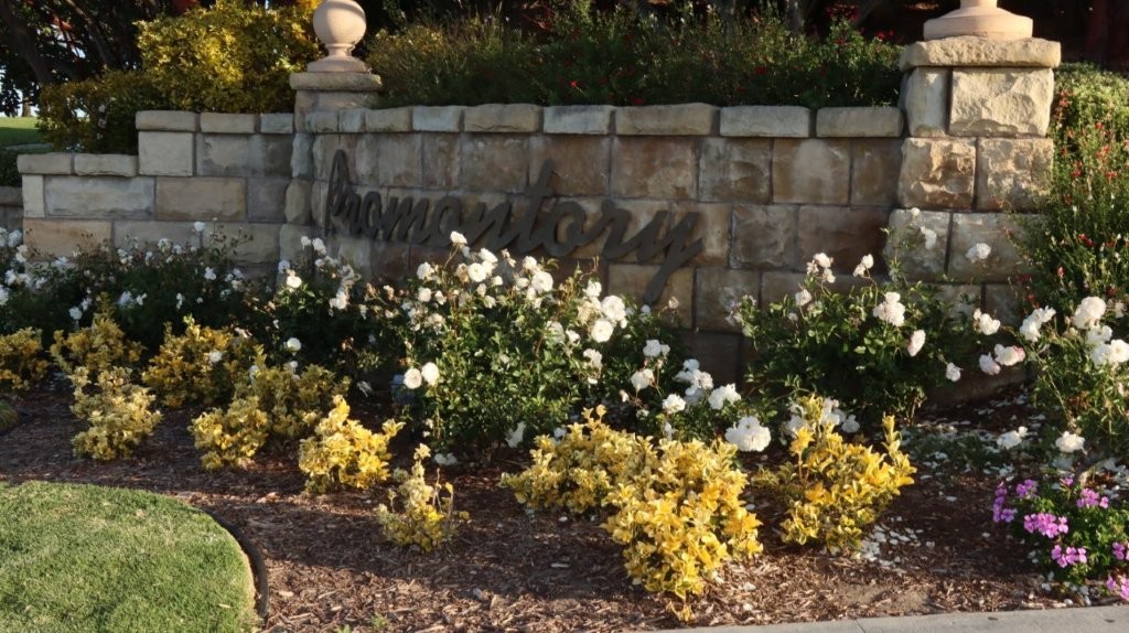A close-up of a flower bed

AI-generated content may be incorrect.