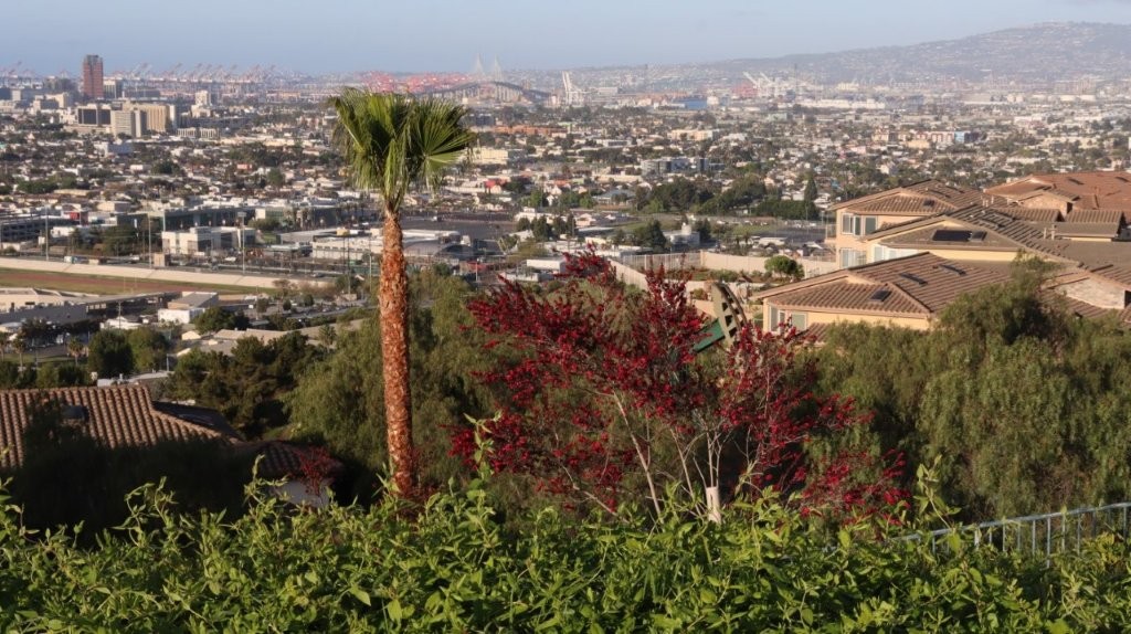 A view of a city from a hill

AI-generated content may be incorrect.