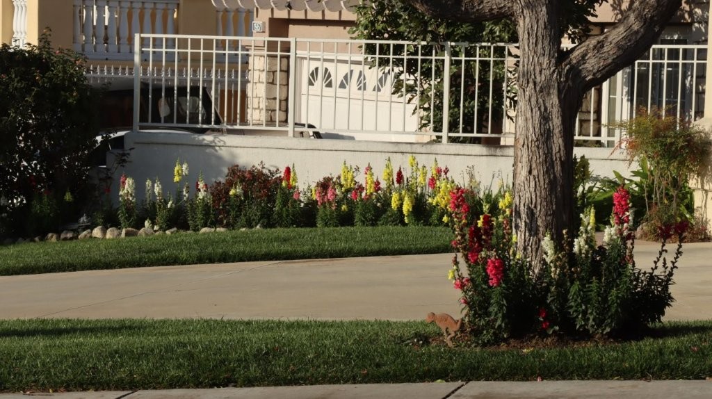 A house with a tree and flowers

AI-generated content may be incorrect.
