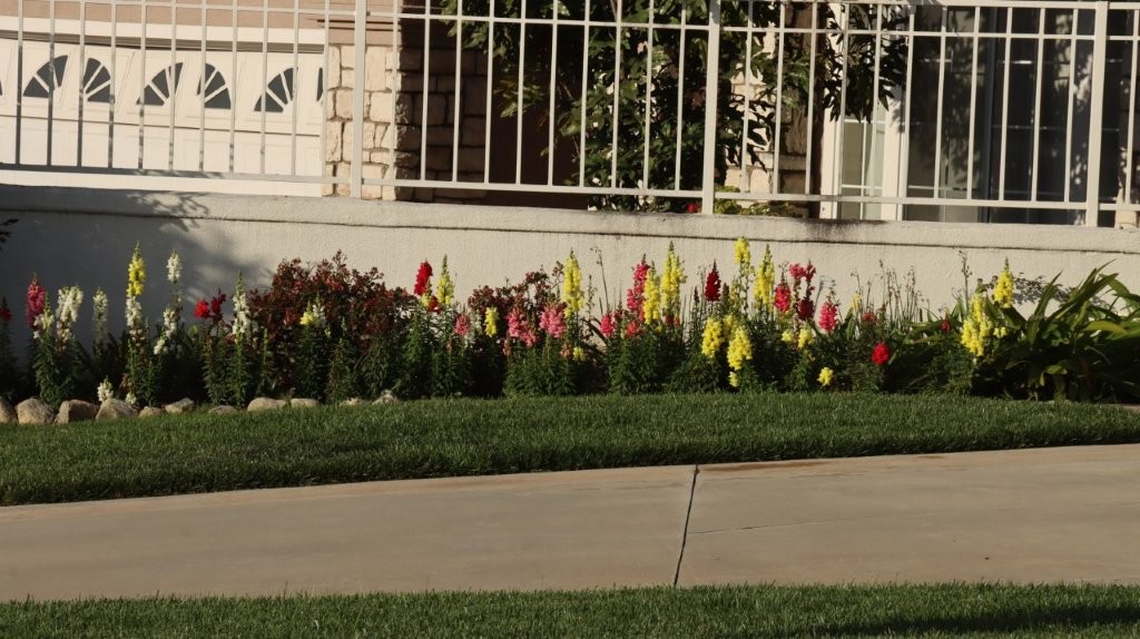 A sidewalk next to a house

AI-generated content may be incorrect.