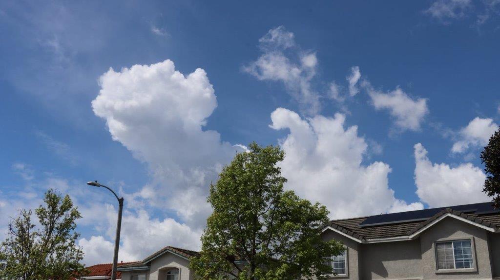 A tree and a building under a blue sky

Description automatically generated