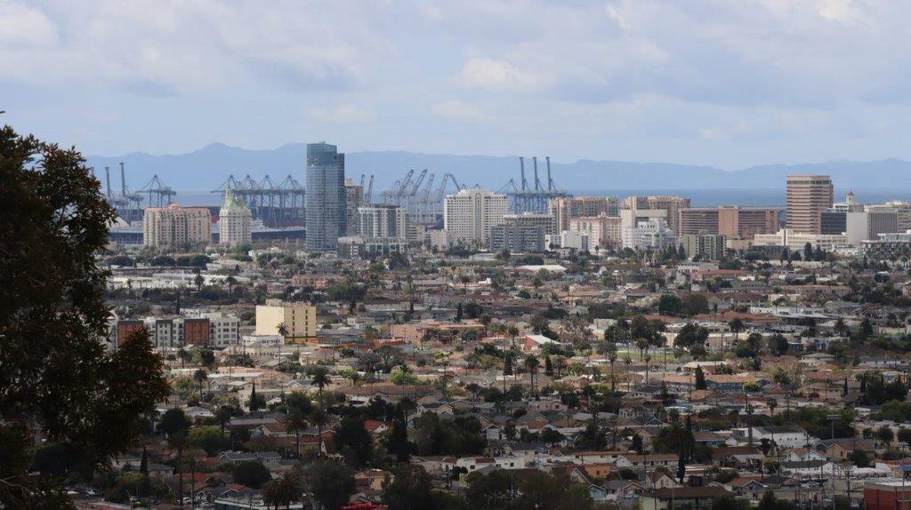 A city with many buildings and cranes

Description automatically generated