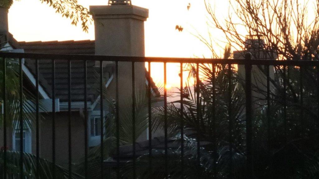 A fence with a sunset behind it

Description automatically generated