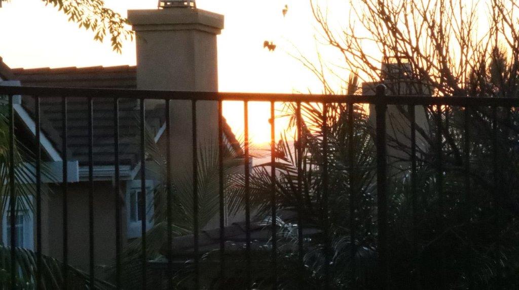 A fence with trees and buildings in the background

Description automatically generated