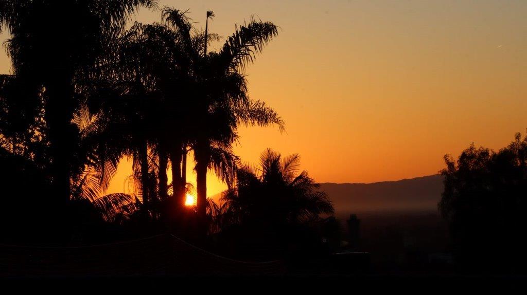 A sunset behind palm trees

Description automatically generated