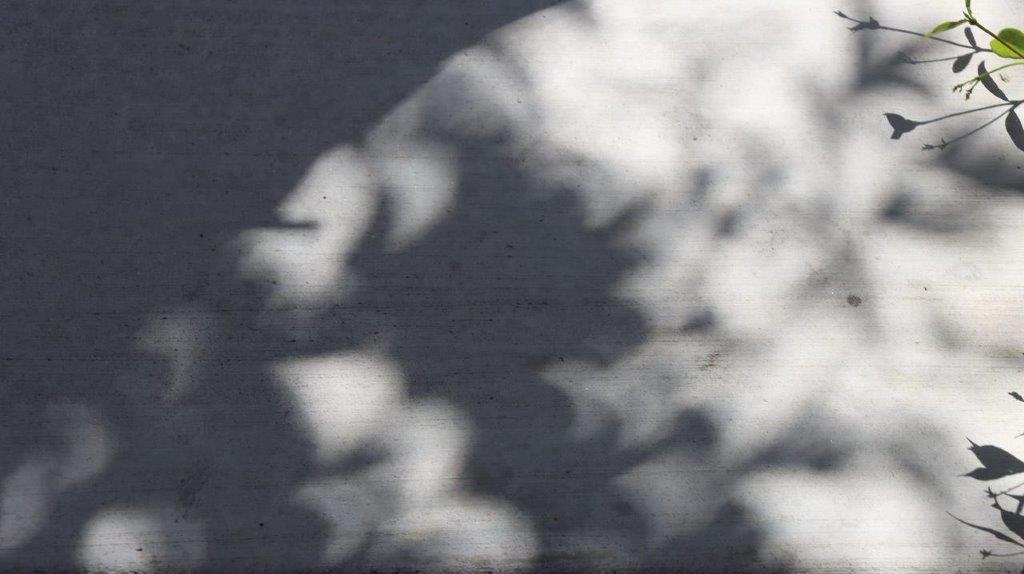 A close-up of a shadow

Description automatically generated