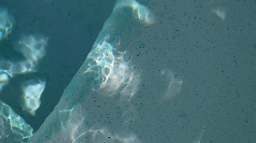 A close-up of a white object

Description automatically generated