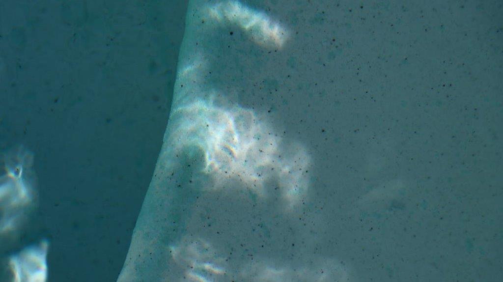 A close-up of a light

Description automatically generated