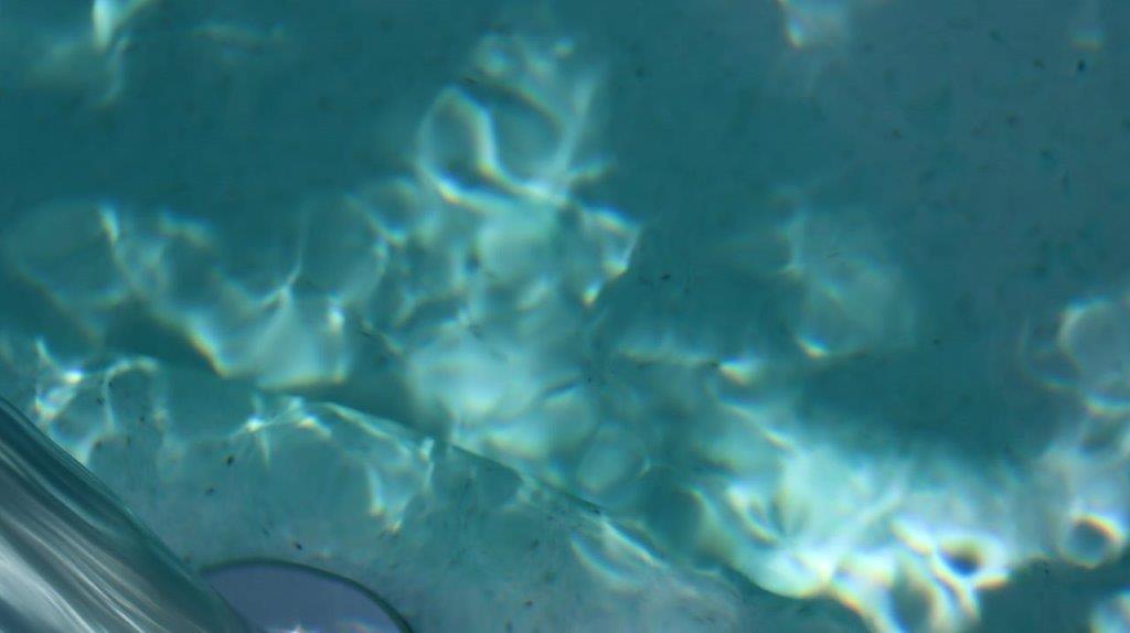 A close up of water

Description automatically generated