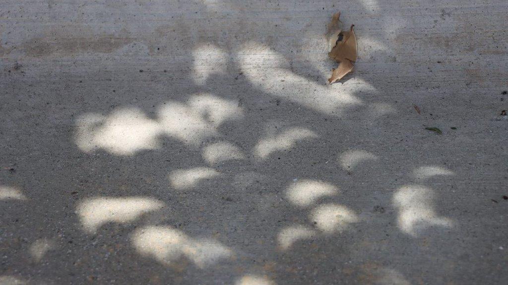 A close-up of a shadow on the ground

Description automatically generated