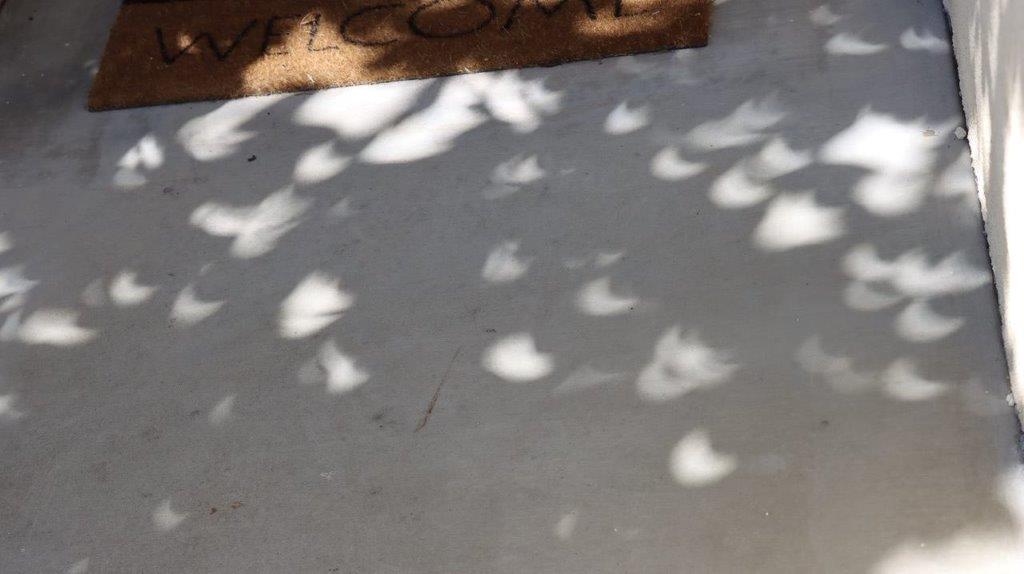 A white concrete surface with shadows on it

Description automatically generated