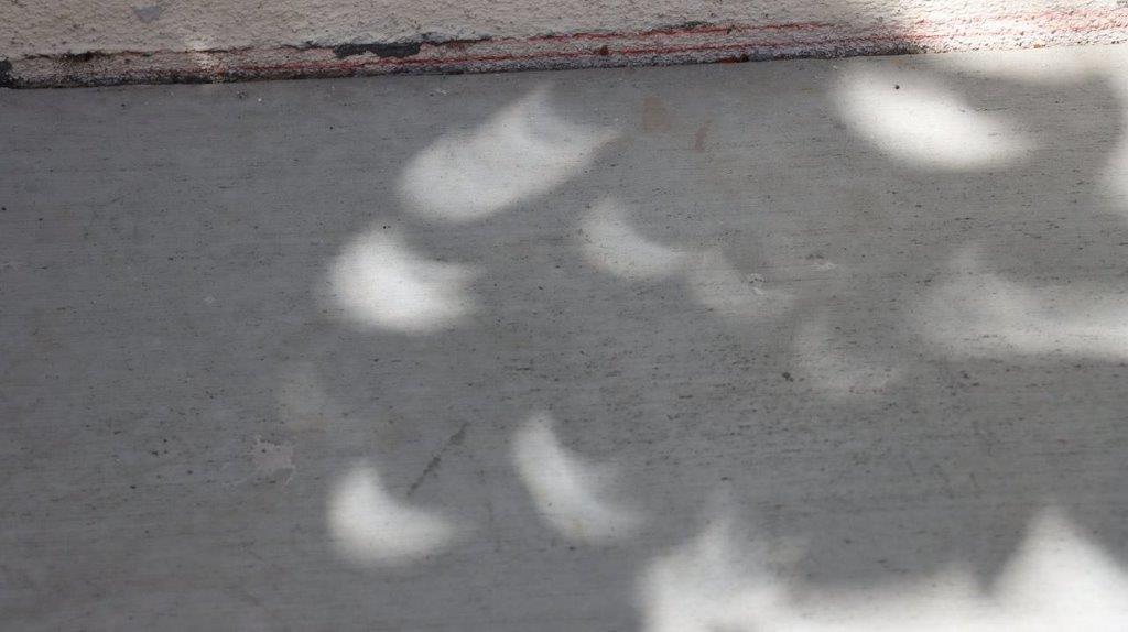 Shadows on the ground

Description automatically generated