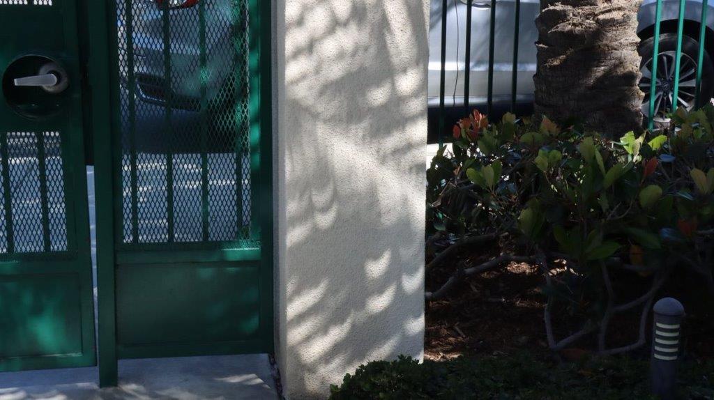 A white wall with a green gate

Description automatically generated