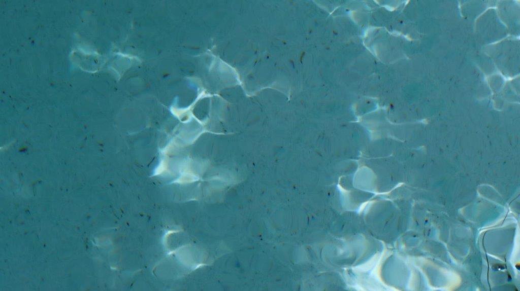 A close-up of a pool

Description automatically generated