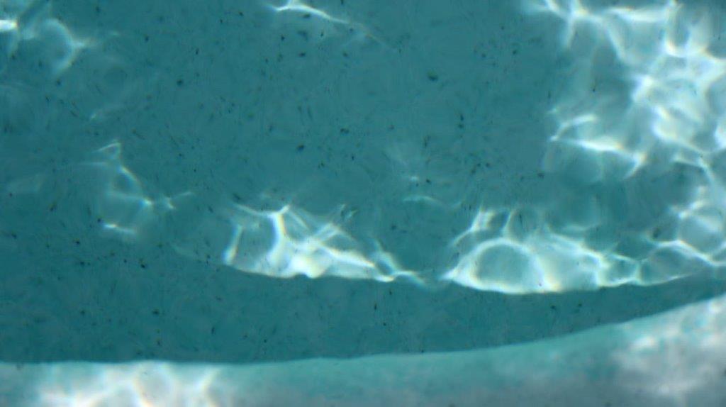 A close-up of a pool

Description automatically generated
