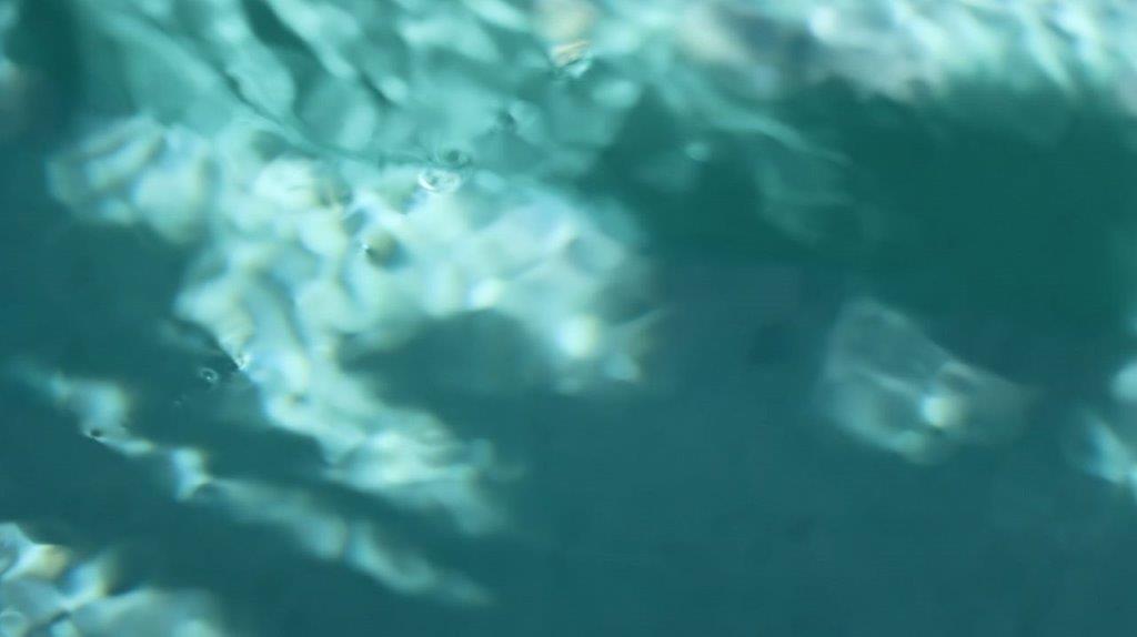 A close-up of water

Description automatically generated