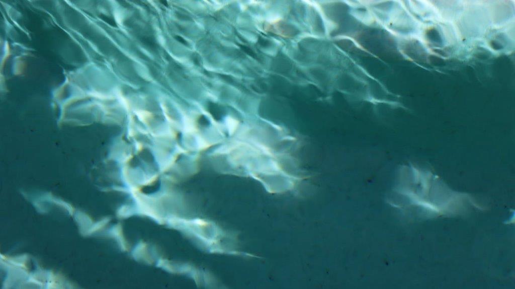 A close-up of a pool

Description automatically generated