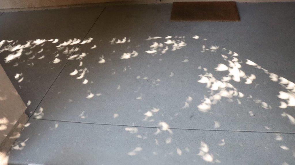 A white tile floor with shadows on it

Description automatically generated
