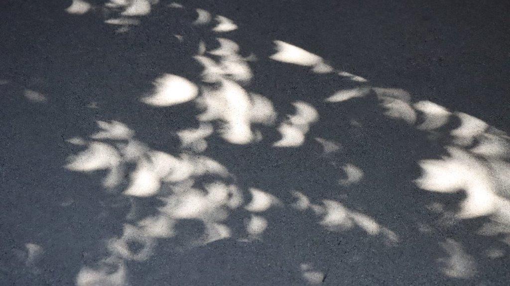 A close-up of a shadow

Description automatically generated