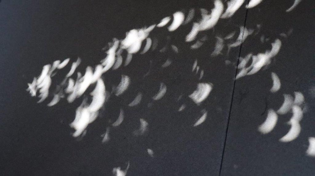 A close-up of a shadow

Description automatically generated
