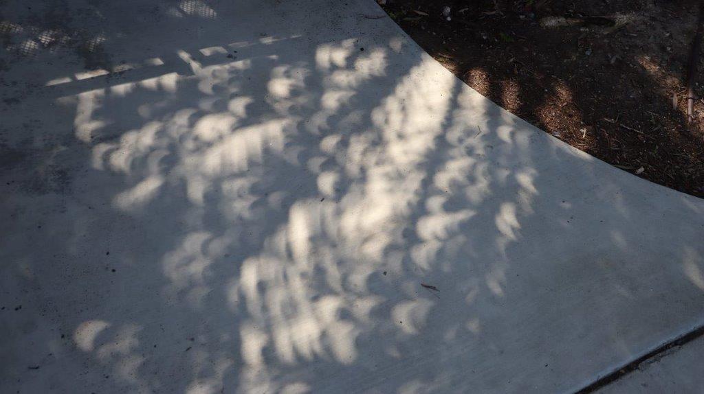 Shadows on the ground

Description automatically generated