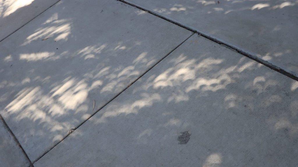 A sidewalk with shadows on it

Description automatically generated