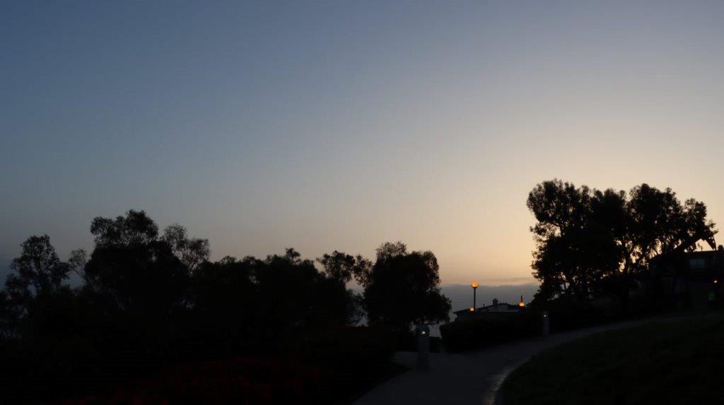 A silhouette of trees and a road

Description automatically generated